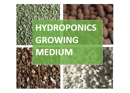 Exploring the Best Growing Mediums for Your Plants